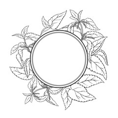 Nettle Plant with Flowers and Leaves Outline Round Frame. Ingredient for cosmetics, health care, alternative medicine. Vector isolated for design or decoration.