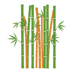 bamboo vector illustration on transparant background
