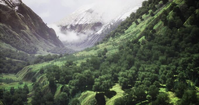 Rolling hills adorned with dense greenery meet towering mountains. Clouds embrace the peaks as nature showcases its beauty in a serene landscape, inviting exploration and tranquility.
