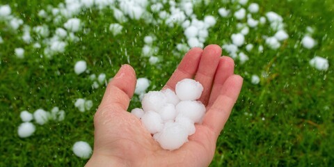 A hand holding hailstones with a background of falling ice on a green field.