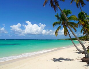 Obraz premium Tropical beach scene with palm trees (3)