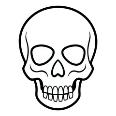 Fototapeta premium skull ,illustration outline isolated on white background