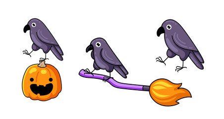Black raven bird flying on witch broomstick, standing on Jack O'Lantern. Halloween graphic element. Cartoon character. Vector isolated illustration.
