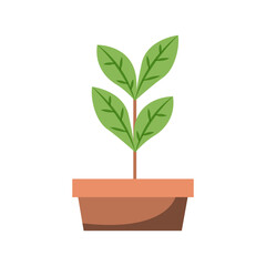 Decorative Plant Vector Illustration