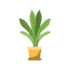 Foliage Plant Vector Illustration