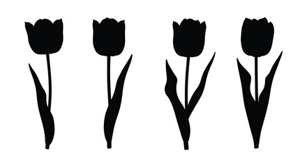 four black tulip silhouettes standing tall against white background