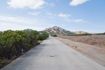 Asinara island in Sardinia, Italy