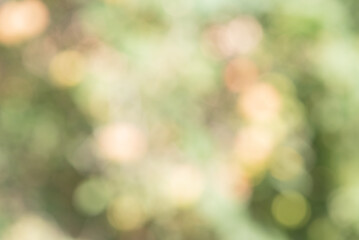 Defocus lights green natural. Bokeh. Blurred leaves.
