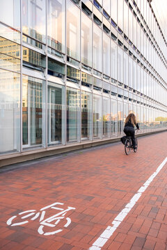 Cyclist on red brick bike path beside modern glass facade in Hamburg Germany, sustainable urban mobility concept with bicycle infrastructure and perspective lines for ecofriendly transport