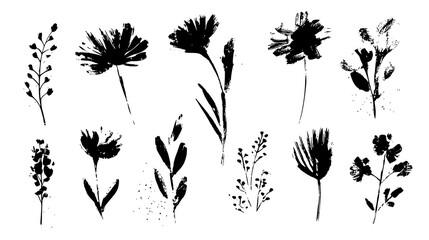 Set of black silhouette botanical illustrations on transparent background.