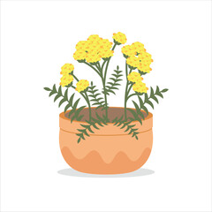 Tansy Decorative Flower on a Pot Colored Flat Illustration