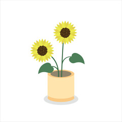 Sunflower Decorative Flower on a Pot Colored Flat Illustration