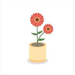 Zinnia Decorative Flower on a Pot Colored Flat Illustration