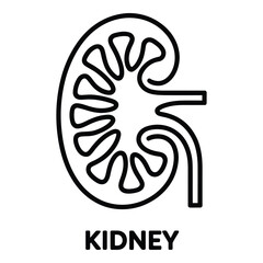 Kidney Line Icon - Human Organ Medical Symbol