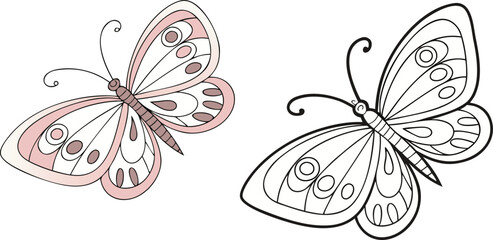Two stylized butterflies one colored one outline butterfly