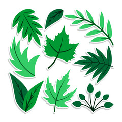 Home plant cartoon style. potted plant isolated on white