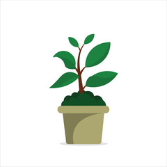 Rubber Tree Decorative Plant on a Pot Colored Flat Illustration