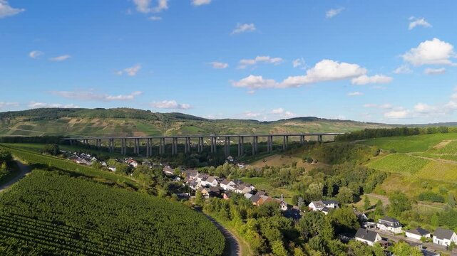 Moselle Viaduct Longuich, vineyard in Mosel valley, bridge of highway crossing river near Trier, german autobahn, aerial view