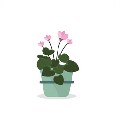 Cyclamen Decorative Plant on a Pot Colored Flat Illustration