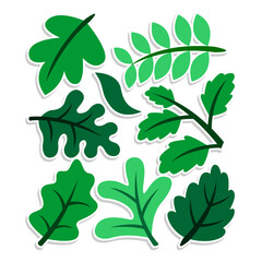 Home plant cartoon style. potted plant isolated on white