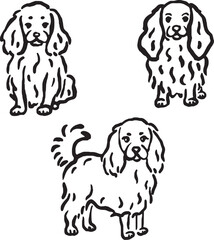 Hand-drawn whimsical fluffy dogs.