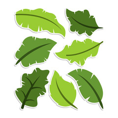 Home plant cartoon style. potted plant isolated on white