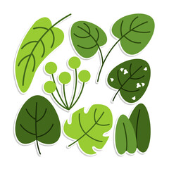 Home plant cartoon style. potted plant isolated on white