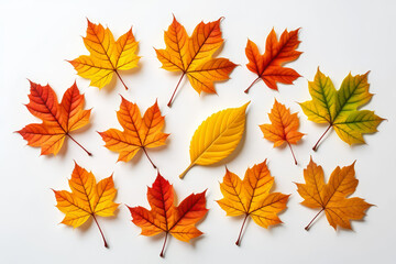Autumn leaves arranged in a scattered pattern showcasing vibrant fall colors.