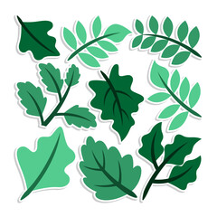 Home plant cartoon style. potted plant isolated on white