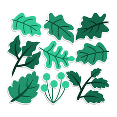 Home plant cartoon style. potted plant isolated on white