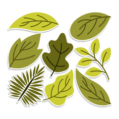 Home plant cartoon style. potted plant isolated on white