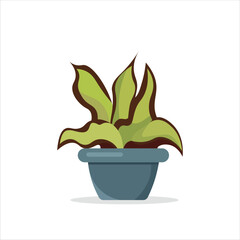 Red Aglonema Decorative Plant on a Pot Colored Flat Illustration