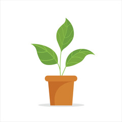 Calathea Decorative Plant on a Pot Colored Flat Illustration
