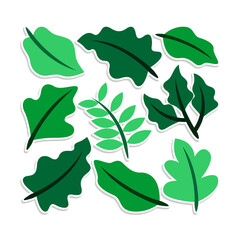 Home plant cartoon style. potted plant isolated on white