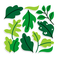 Home plant cartoon style. potted plant isolated on white