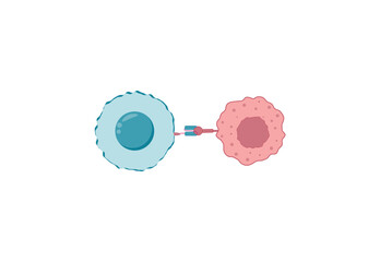 	
CAR T-cell therapy, killing of tumor cells. Chimeric antigen receptor T cell ,CAR T cell, for use in immunotherapy. Genetic engineering. Chemotherapy. Vector illustration.