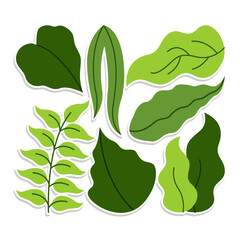 Home plant cartoon style. potted plant isolated on white