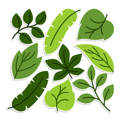 Home plant cartoon style. potted plant isolated on white