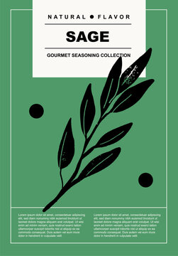 Sage. Set of posters of spices and herbs in a abstract draw design. Label or poster for food preparing and culinary. Simple, flat design. For poster, cover, banner.