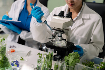 Microbiologists and nutrition experts analyze molecular samples in advanced food science labs.