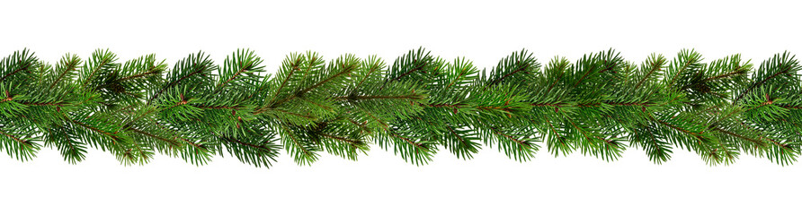 Obraz premium christmas tree branches wreath isolated on white 