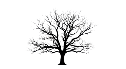 Ancient, charcoal-black skeletal tree with gnarled branches, starkly silhouetted against a vast, transparent background with copy space, concept of resilient natural form