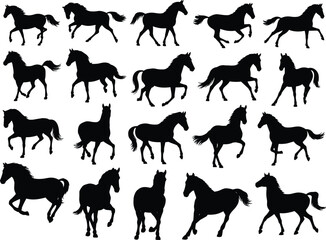 Collection of black horse silhouettes in various poses, running, standing, galloping, vector design, equine shapes, wild horses, animal illustration, flat vector illustration