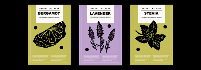 Bergamot, lavender, stevia. Set of posters of spices and herbs in a abstract draw design. Label or poster for food preparing and culinary. Simple, flat design. For poster, cover, banner.