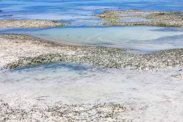 Coastal Lagoon and Tidal Pools A Natural Landscape