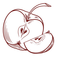 Vector art of detailed line art illustration of a sliced apple, perfect for food, health, or educational content in a vintage style