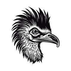 Fototapeta premium Cute cartoon Emu head Black and white vector illustration for coloring book.