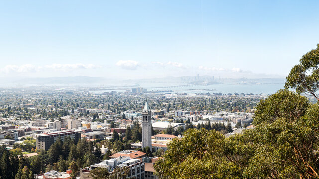 The city of Berkeley from the hillside looking out towards the San Francisco Bay Bridge. 