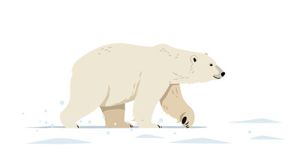 Walking Polar Bear Illustration on Snow.