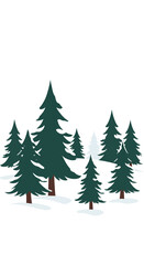 Winter Forest Scene with Evergreen Trees and Snow.